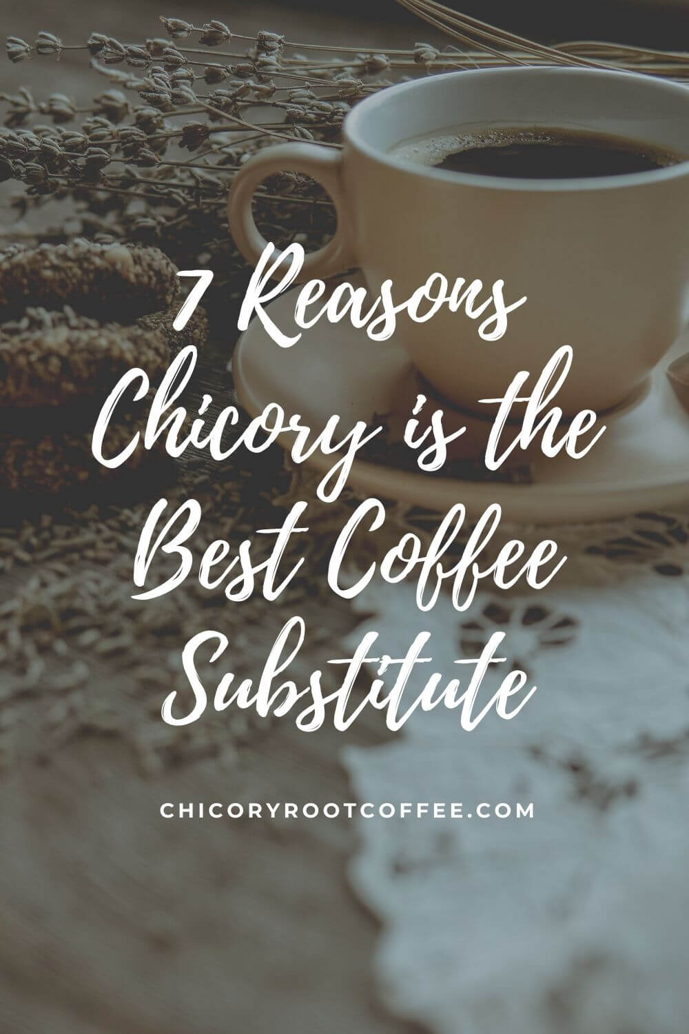 chicory best coffee substitute