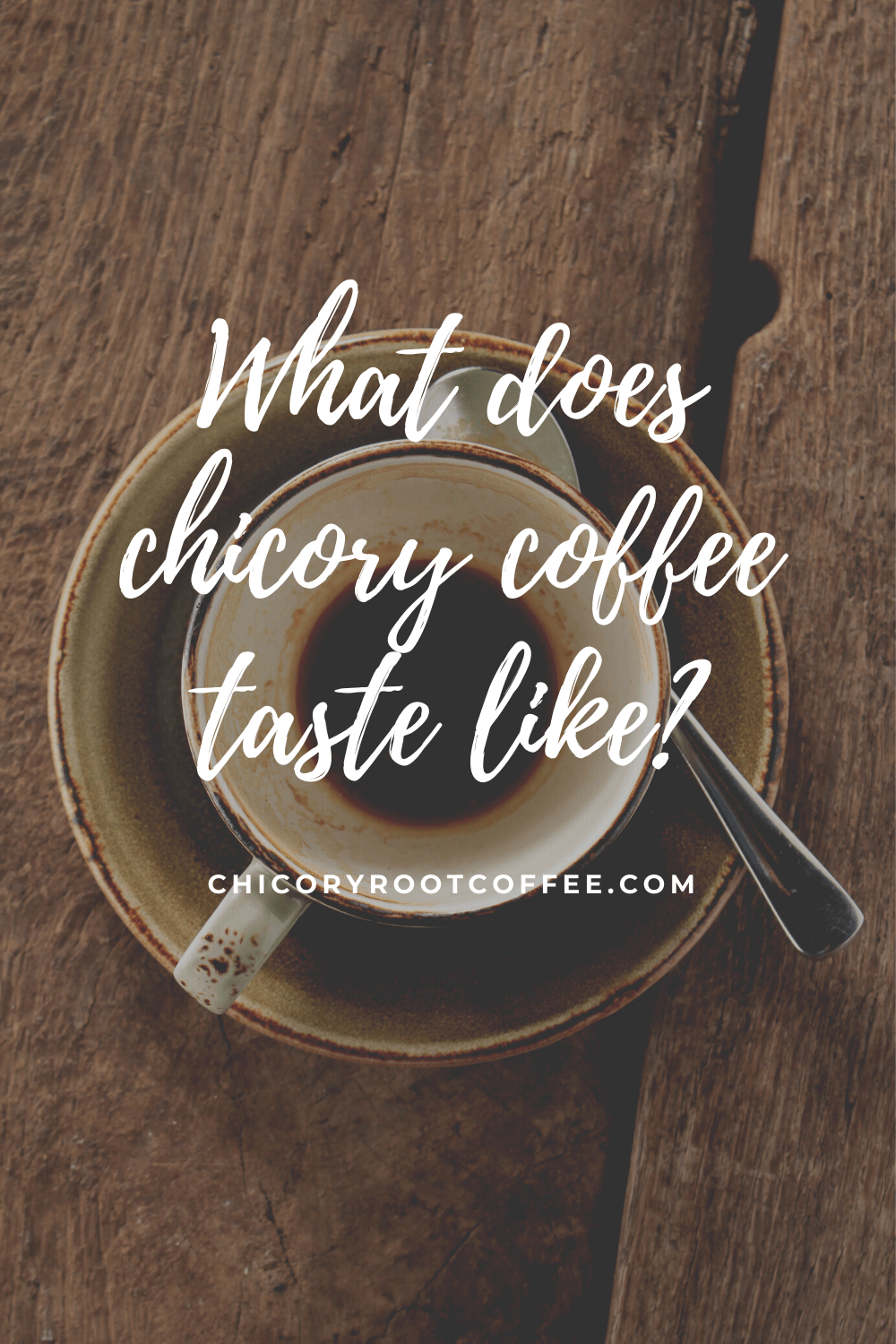 what chicory coffee tastes like