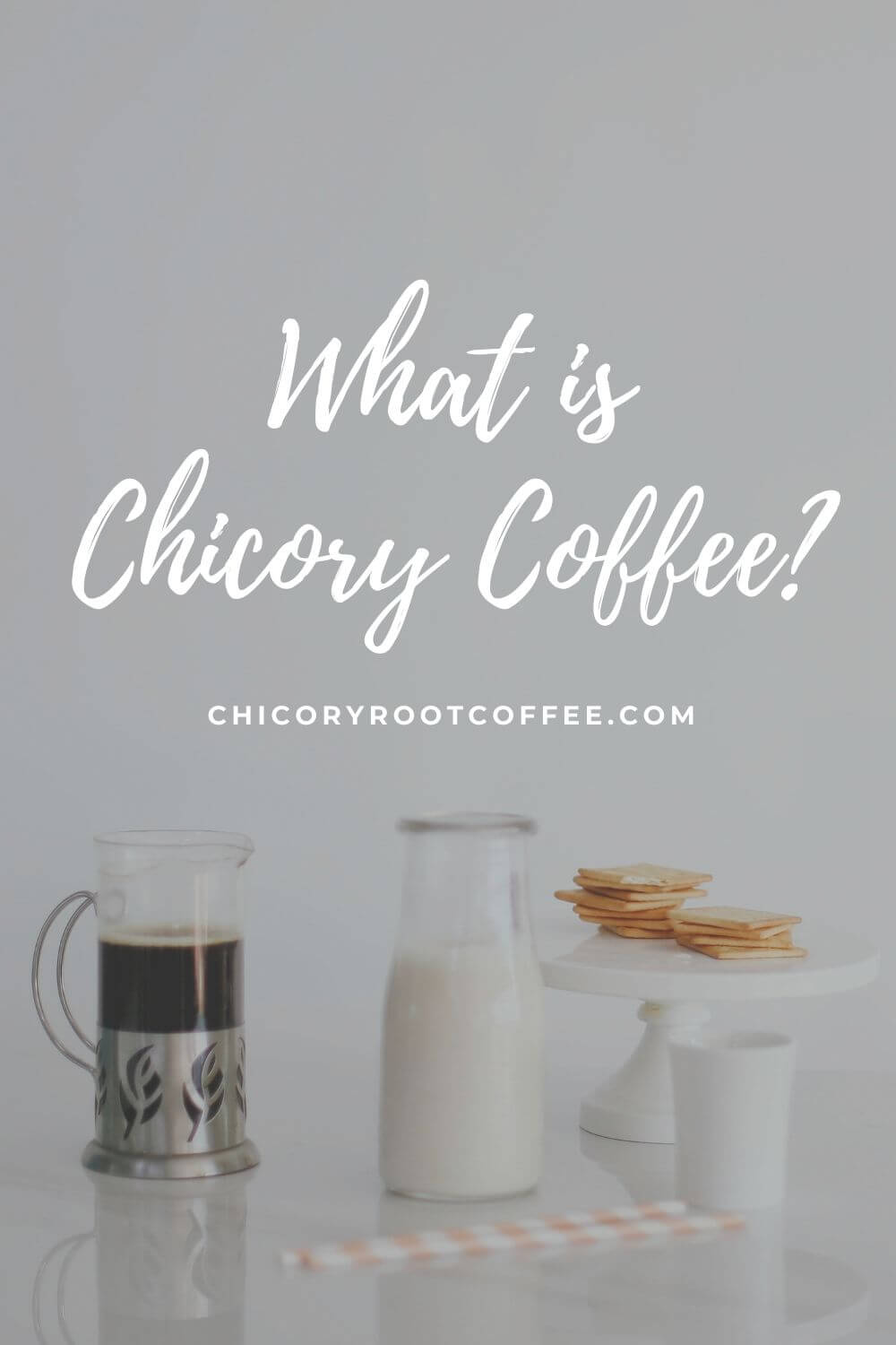 what is chicory coffee